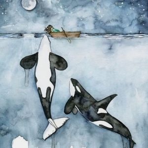 Meet your Posher, Beverly